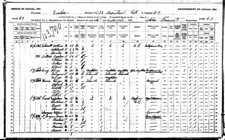 GeorgeMoore-1891CanadianCensus_H450W