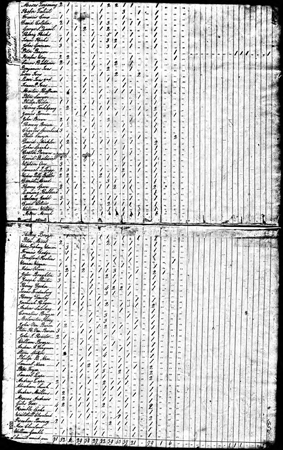 mosesterpenning-1820census_v450h