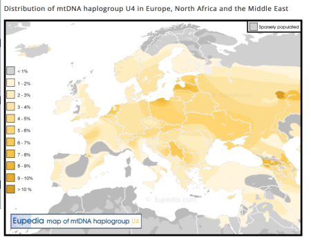 U4 Haplogroup mtDNA Distrib